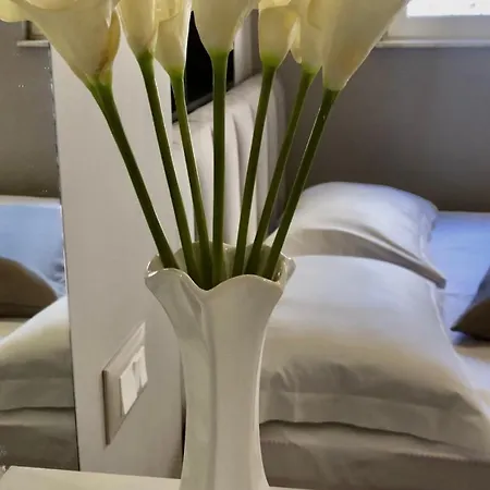 דירה Central Apartment Tirana