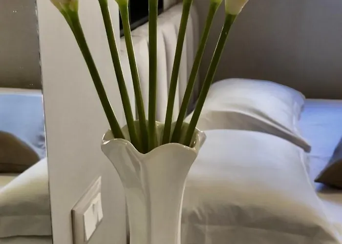 公寓 Central Apartment Tirana